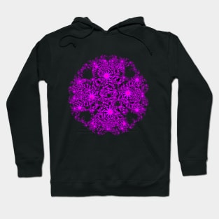 Pink Mandelbrot Fractal Circle Hoodie